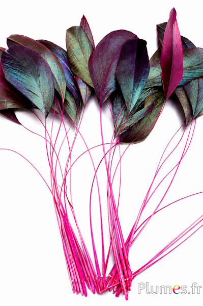 Coquetips - 12-17 cm - fuchsia-zwart